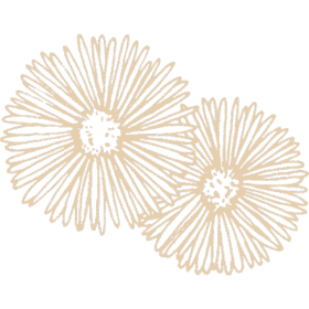 Home 12 Flores 1 e1749060937121