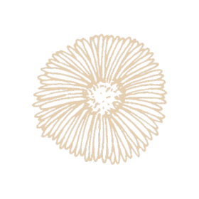 Home 11 Flores 2 e1749061188485